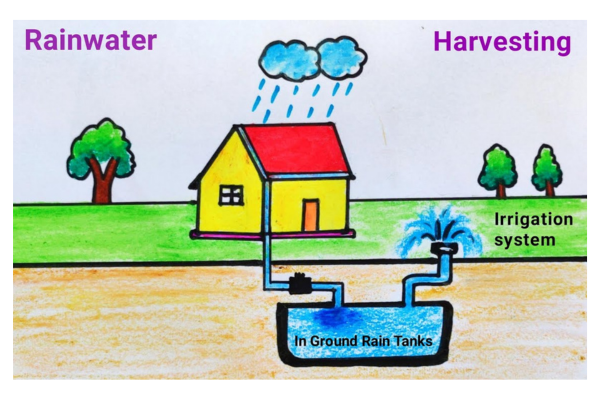 Rain Water Harvesting