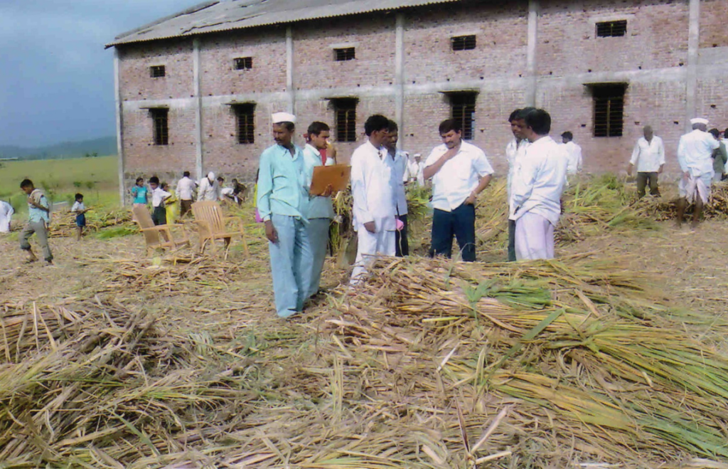 दुष्काळग्रस्त भागात उभारलेल्या चारा छावणीत जनावरांसाठी चारा व्यवस्थापन पाहणी